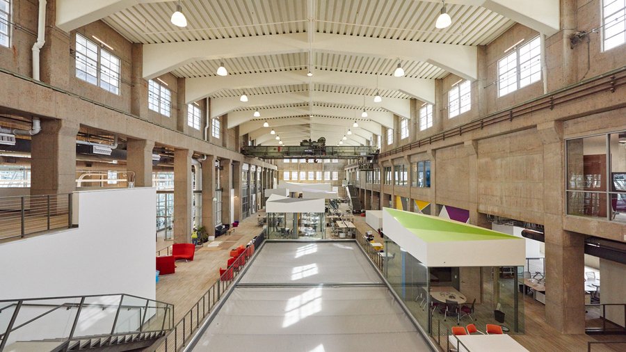 monstera variegata wo kaufen Monstera Albo Variegata Plant  HappiestPlants