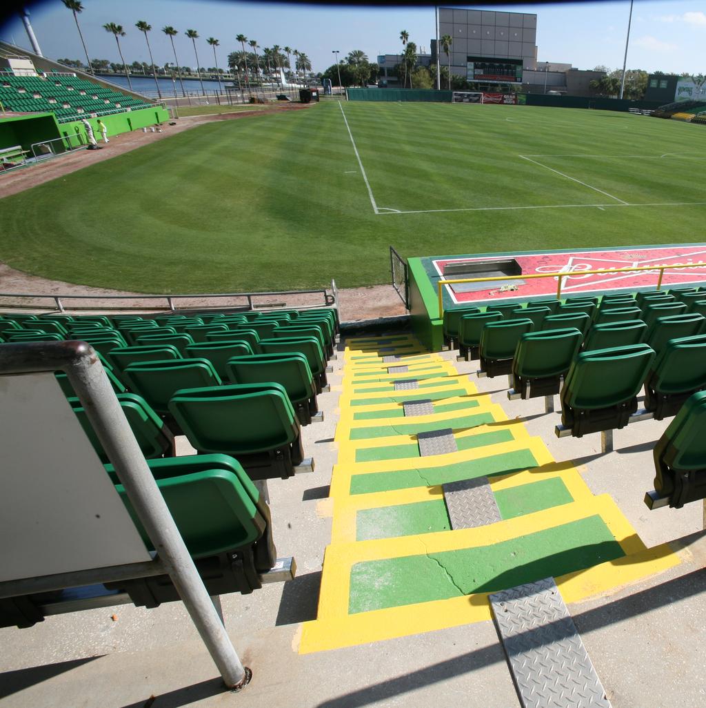 The Tampa Bay Rays are buying the Tampa Bay Rowdies, control of Al