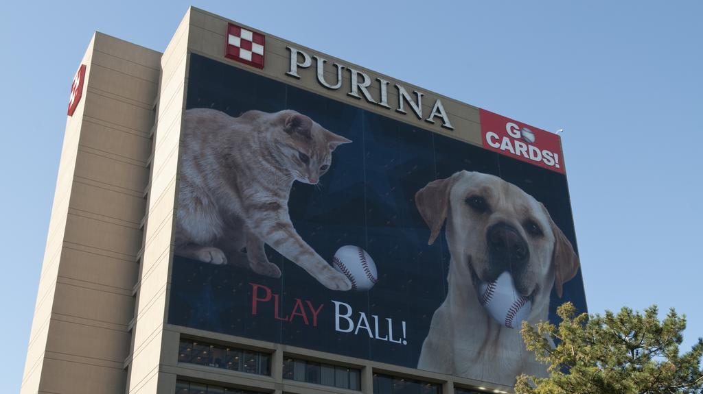 purina kills dogs