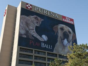 Nestlé Purina PetCare Company - Play Ball