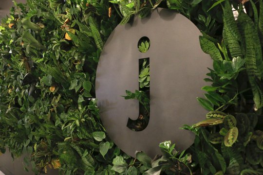 Jama cool Spaces living wall