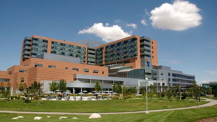 39++ Childrens hospital colorado physician jobs ideas in 2021 