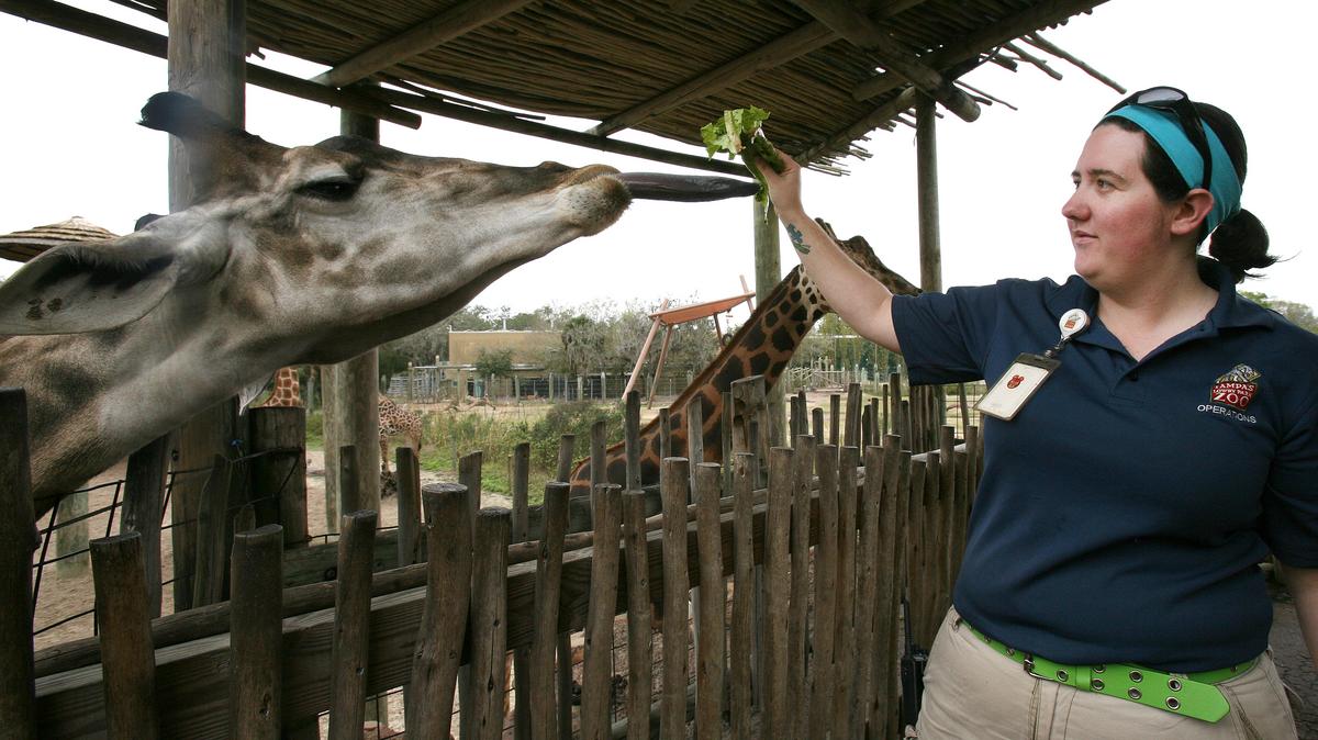 Amscot Financial donates $100k to Lowry Park Zoo - Tampa Bay Business ...