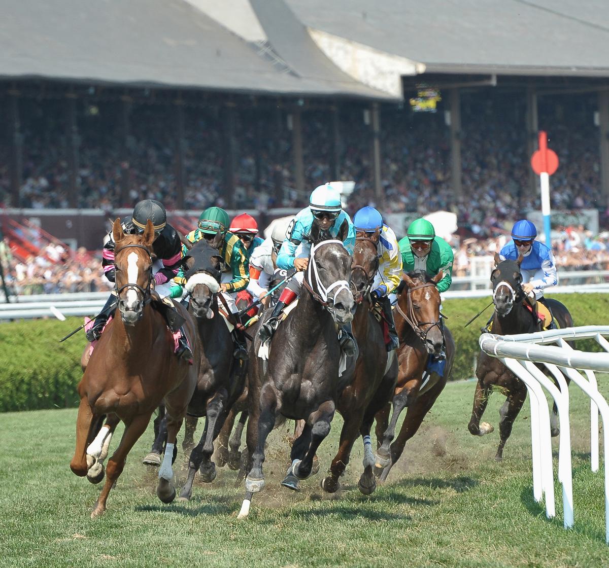 Saratoga firm picked to air thoroughbred races on NBC - Albany Business ...