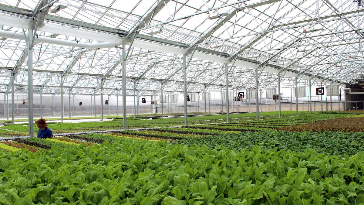 Greenhouse farm startup BrightFarms raises $30.1 million Series C to ...