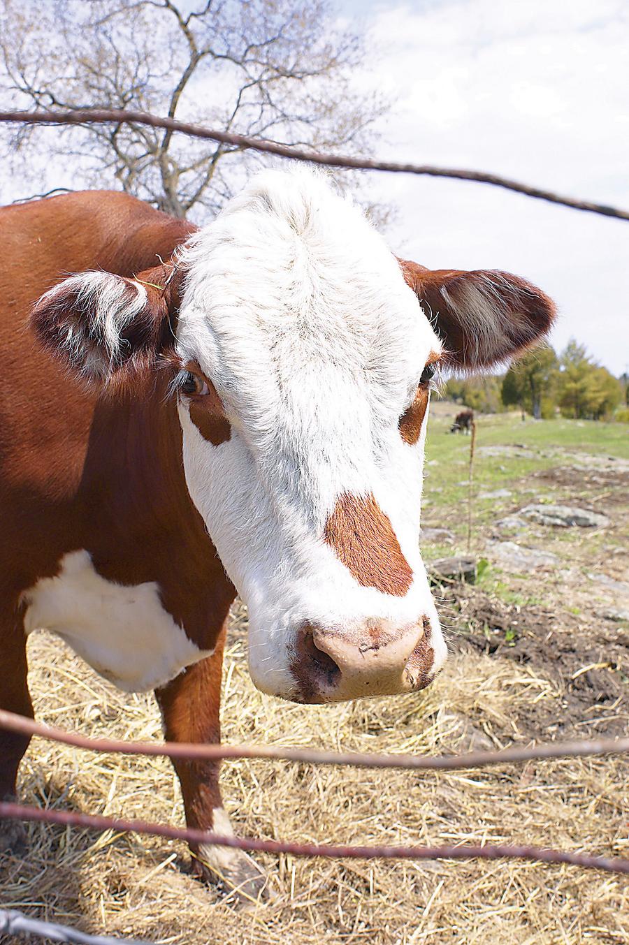 Six things you didn't know about the Tops Monopoly game Buffalo Business First