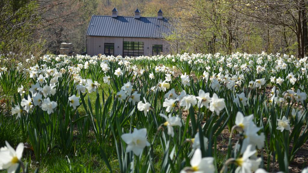 keith kaiser named interim president of pittsburgh botanic garden pittsburgh business times - Pittsburgh Botanic Garden keith kaiser named interim president of pittsburgh botanic garden pittsburgh business times - Pittsburgh Botanic Garden