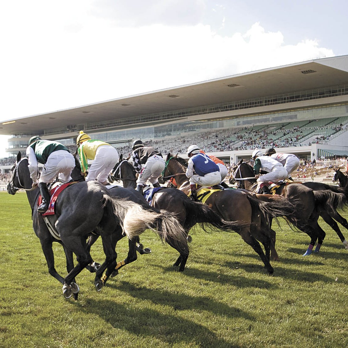 Bears Submit Bid To Buy Arlington International Racecourse