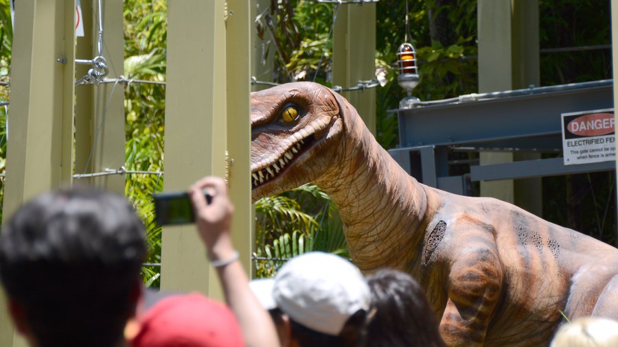 Universal Raptor Experience DSC 0751
