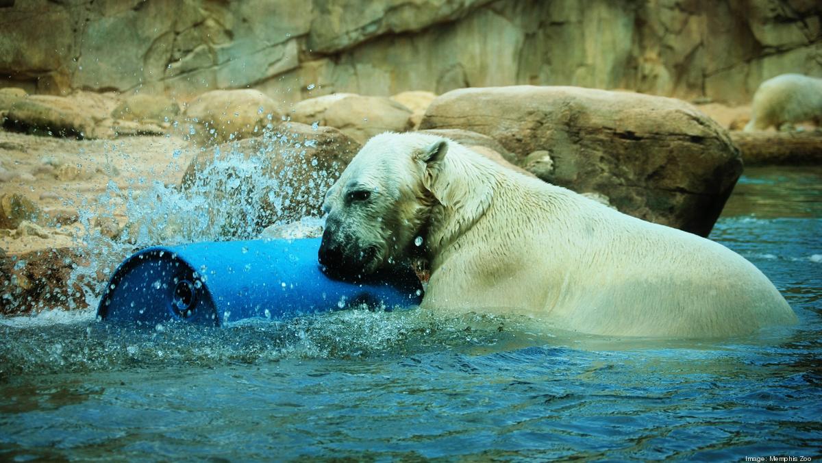 Memphis Zoo provides salary boost to staff and zookeepers to stay  competitive in the industry - Memphis Business Journal