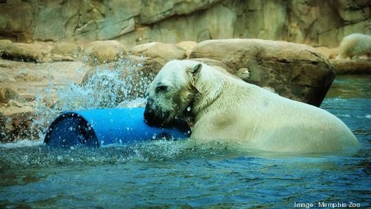 Memphis Zoo