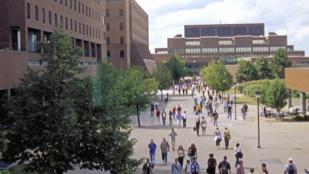 Buffalo best bachelor's programs in nation, new rankings say - Buffalo Business First