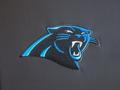 Carolina Panthers unveil newly renovated luxury suites at Bank of America  Stadium (PHOTOS) - Charlotte Business Journal