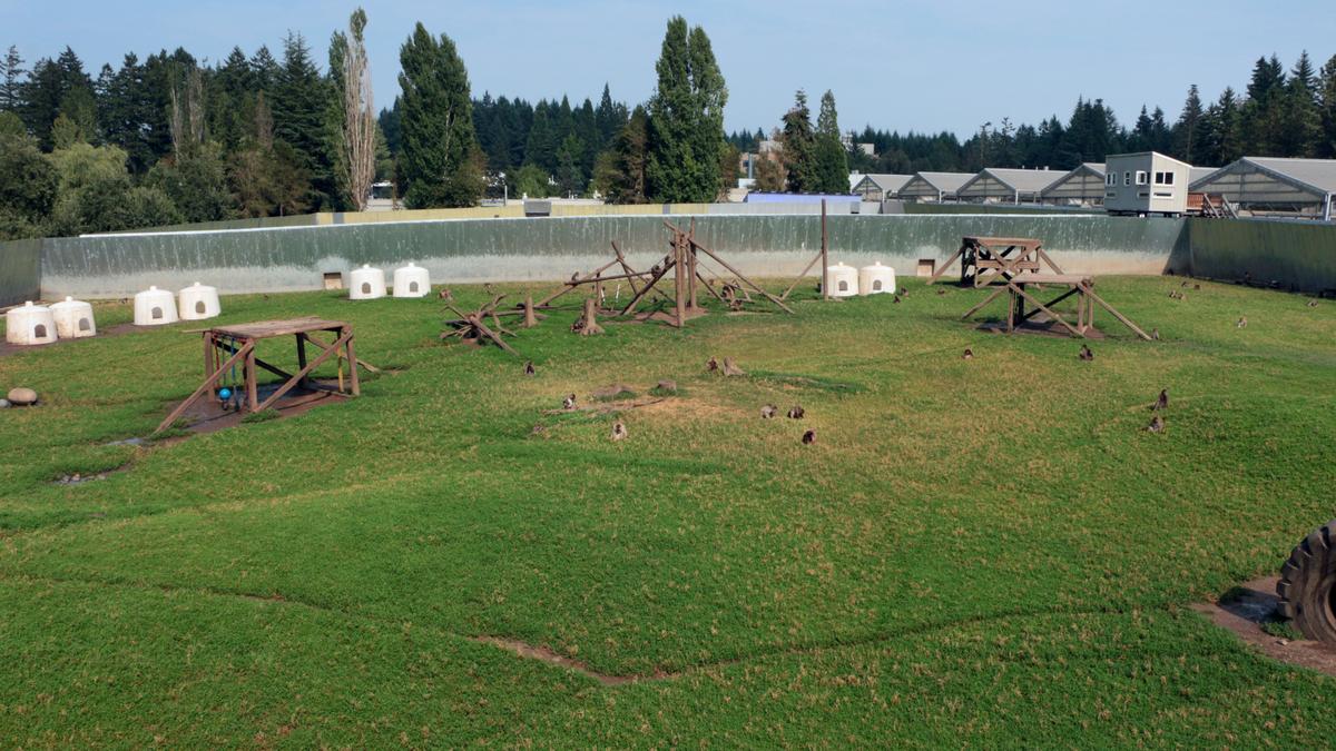 Oregon Health & Science University receives NIH grant to study effects