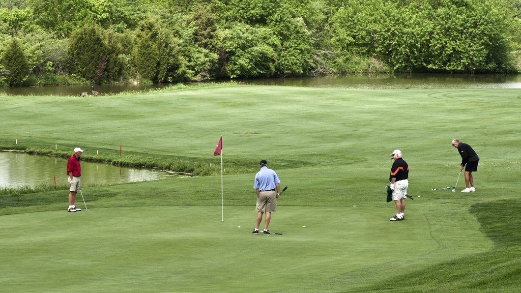 Local golf courses see explosion of activity amid pandemic