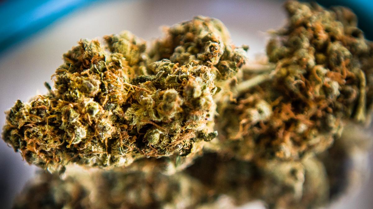 Florida Rep. Carlos Guillermo Smith's recreational marijuana bill dead ...