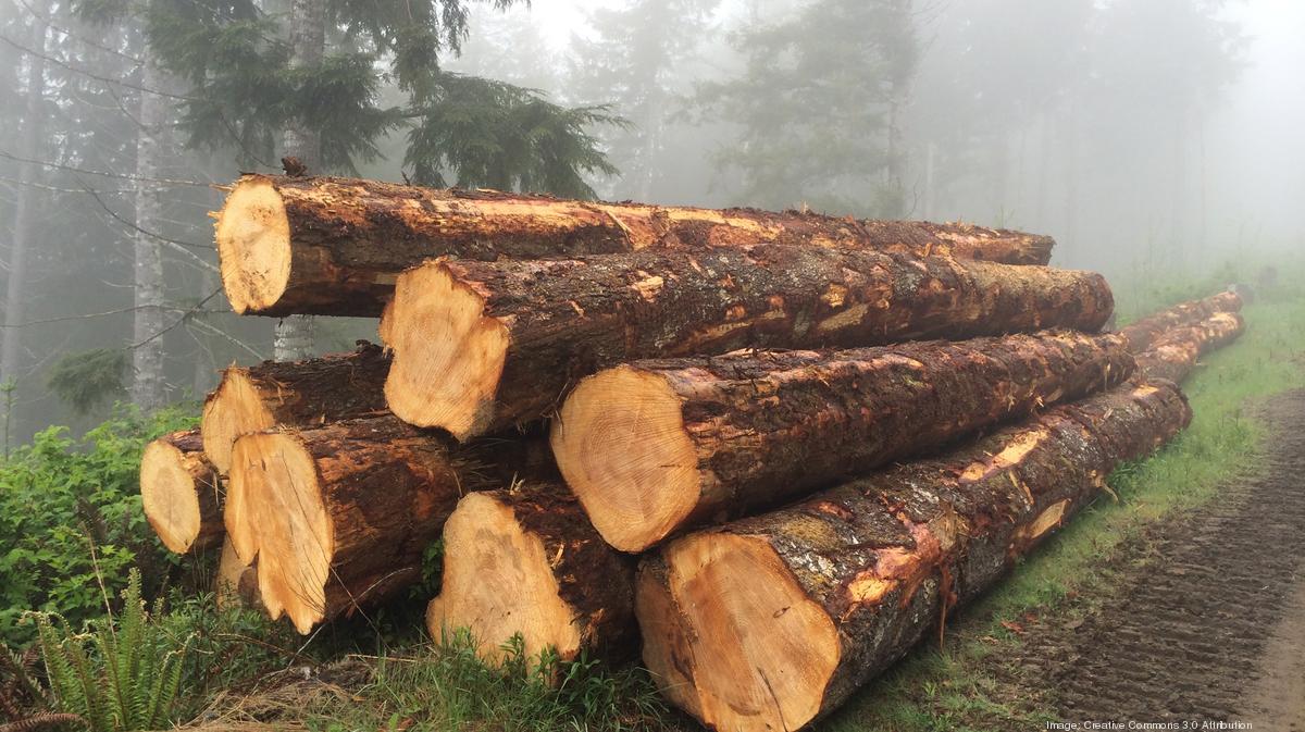 Oregon timber industry, environmentalists in 'historic' accord