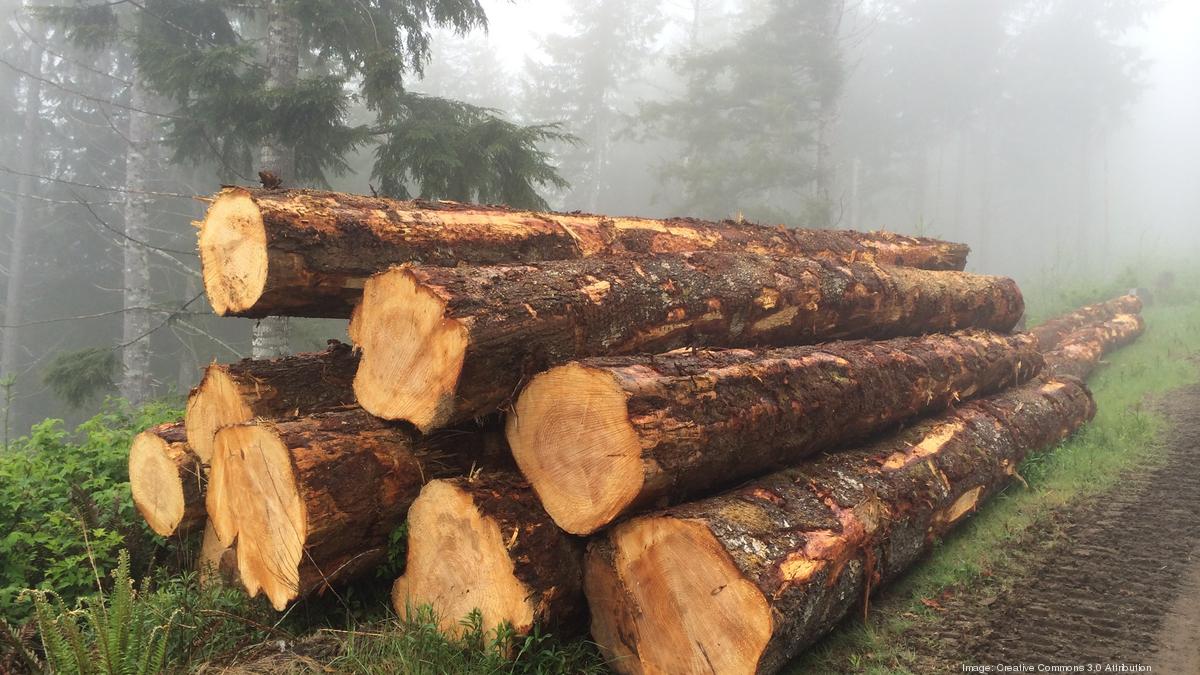 oregon-timber-industry-environmentalists-in-historic-accord