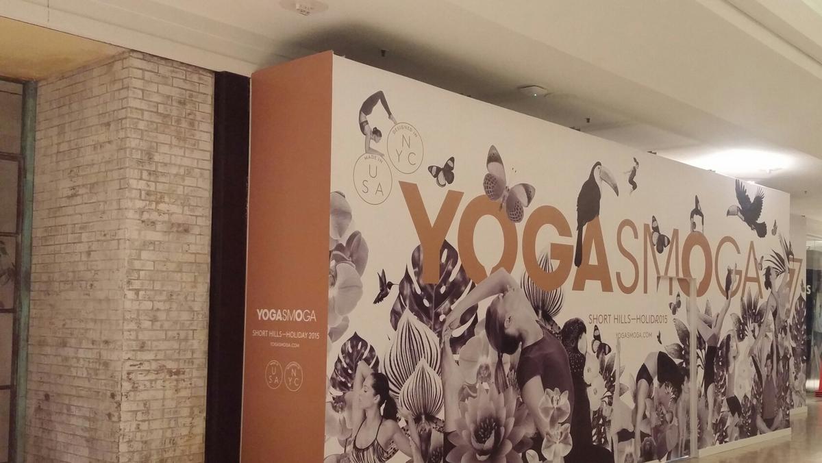 Lululemon rival Yogasmoga expands nationally with Q4 stores in Short Hills,  Boston, more - New York Business Journal