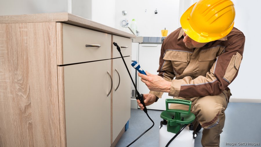 Thompson Street Capital Partners' PestCo unit acquires Phoenix business