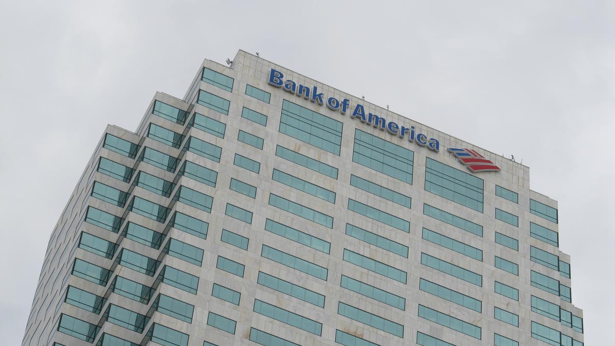 Bank of america manhattan tampa