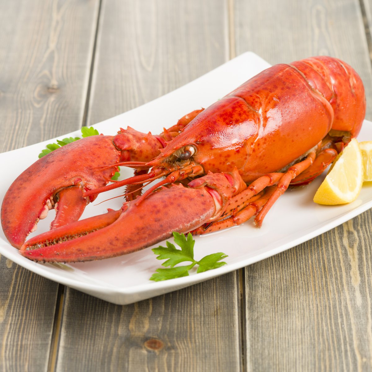 2017 Lobster Opener is Saturday: New Regulations In Effect