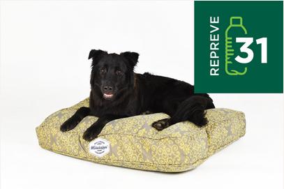 Hollywood feed dog store bed