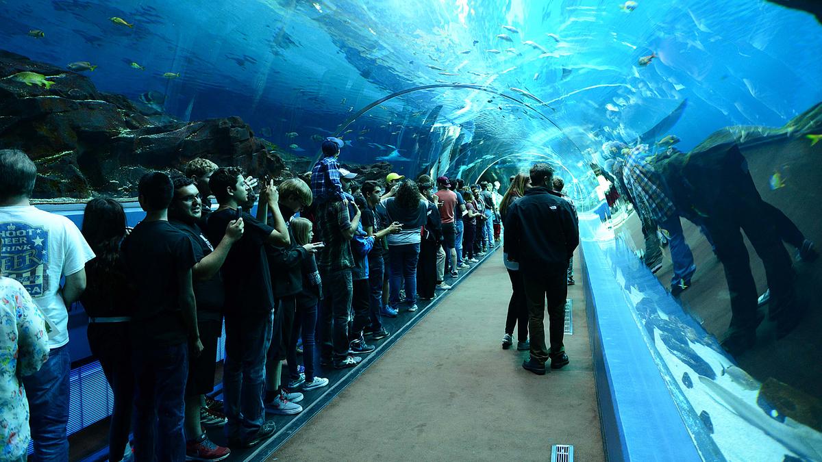 Hospitality Notes Aquarium plans major expansion to open in
