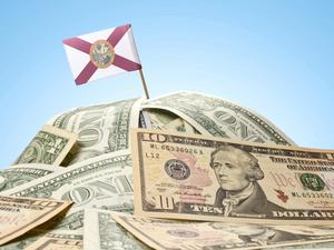 Florida Money Flag 485997944