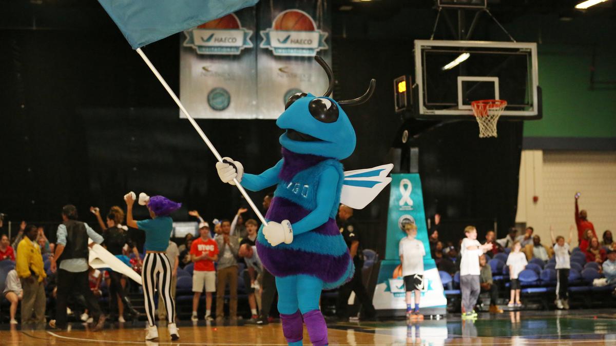 Greensboro Swarm, Hornets NBA Development League team, announces season ...