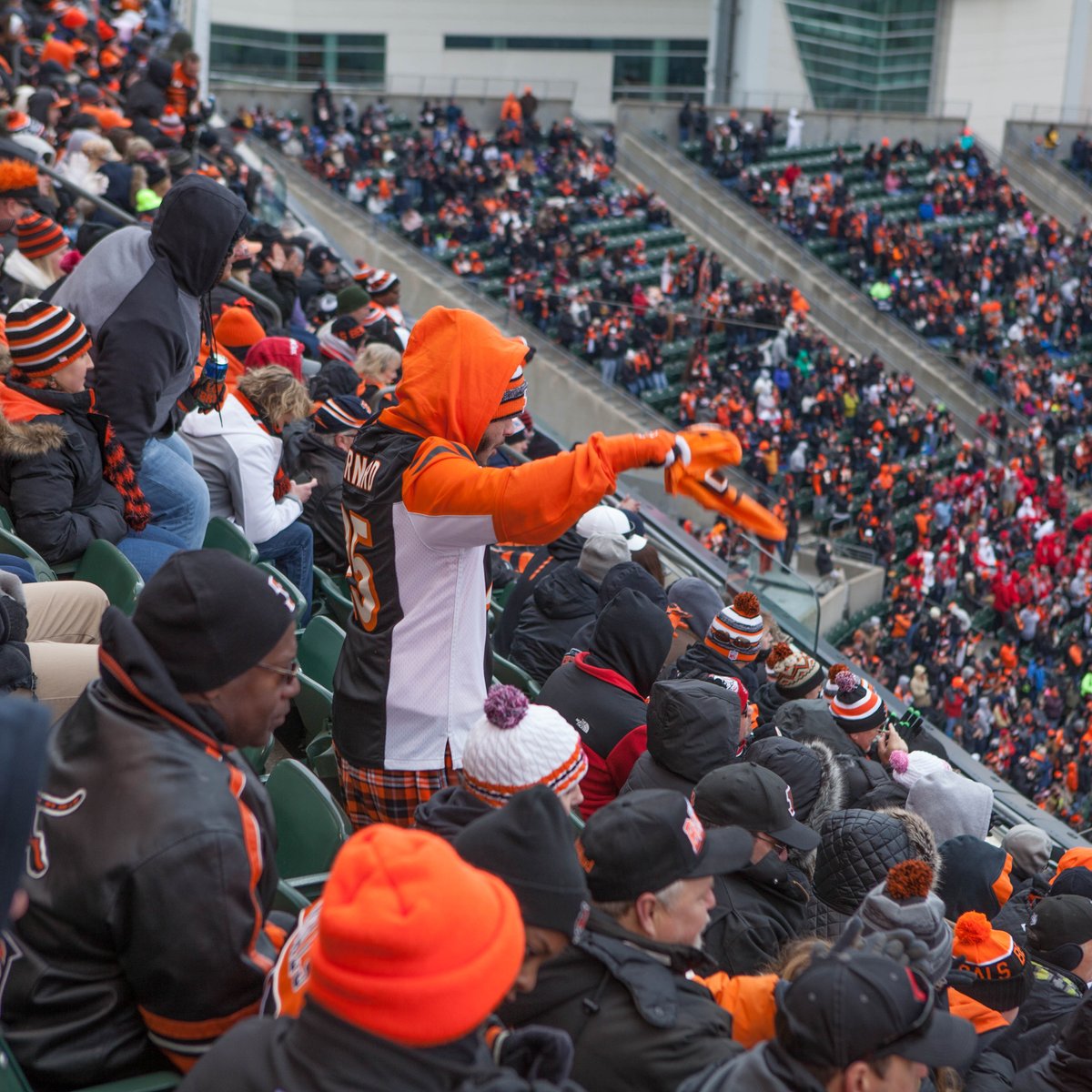 Report: Here's how much a Cincinnati Bengals home game costs in the resale  market - Dayton Business Journal