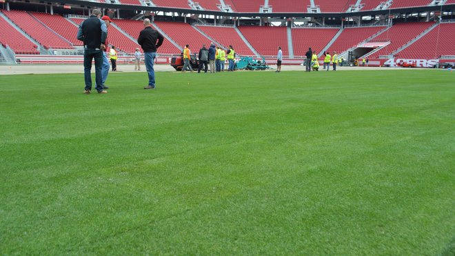 49ers replacing turf at Levi's Stadium - NBC Sports