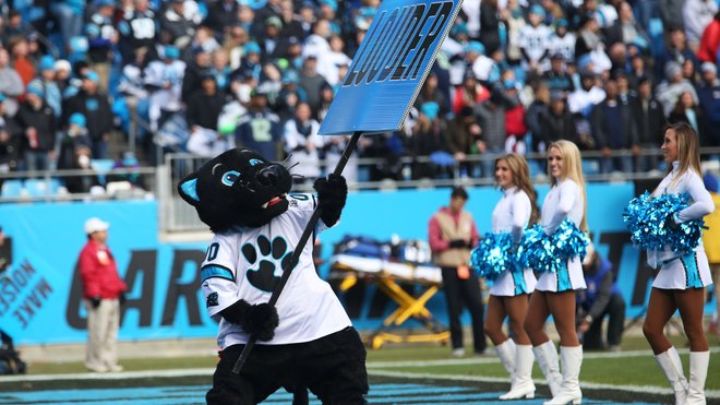 Sir Purr on a bike!  Panther nation, Carolina panthers, Panthers