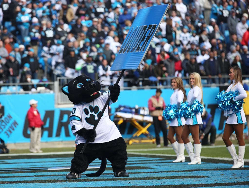 2,474 Carolina Panthers Cheerleaders Stock Photos, High-Res Pictures, and  Images - Getty Images