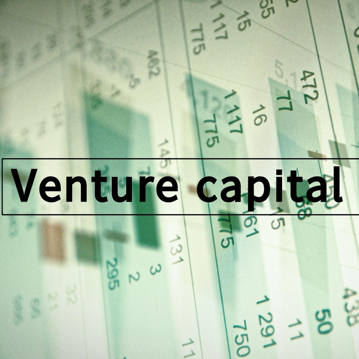  How a Deceleration in the Venture Capital Market Could