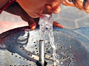 water fountain drinking fountain