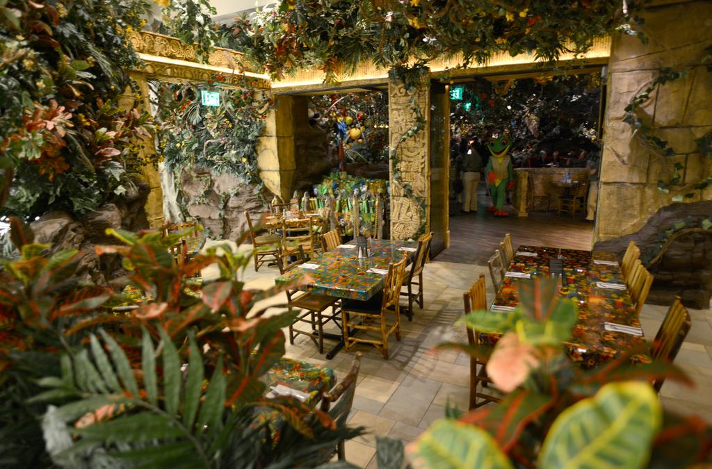 Rainforest Cafe, a little less wet, reopens at the Mall of America