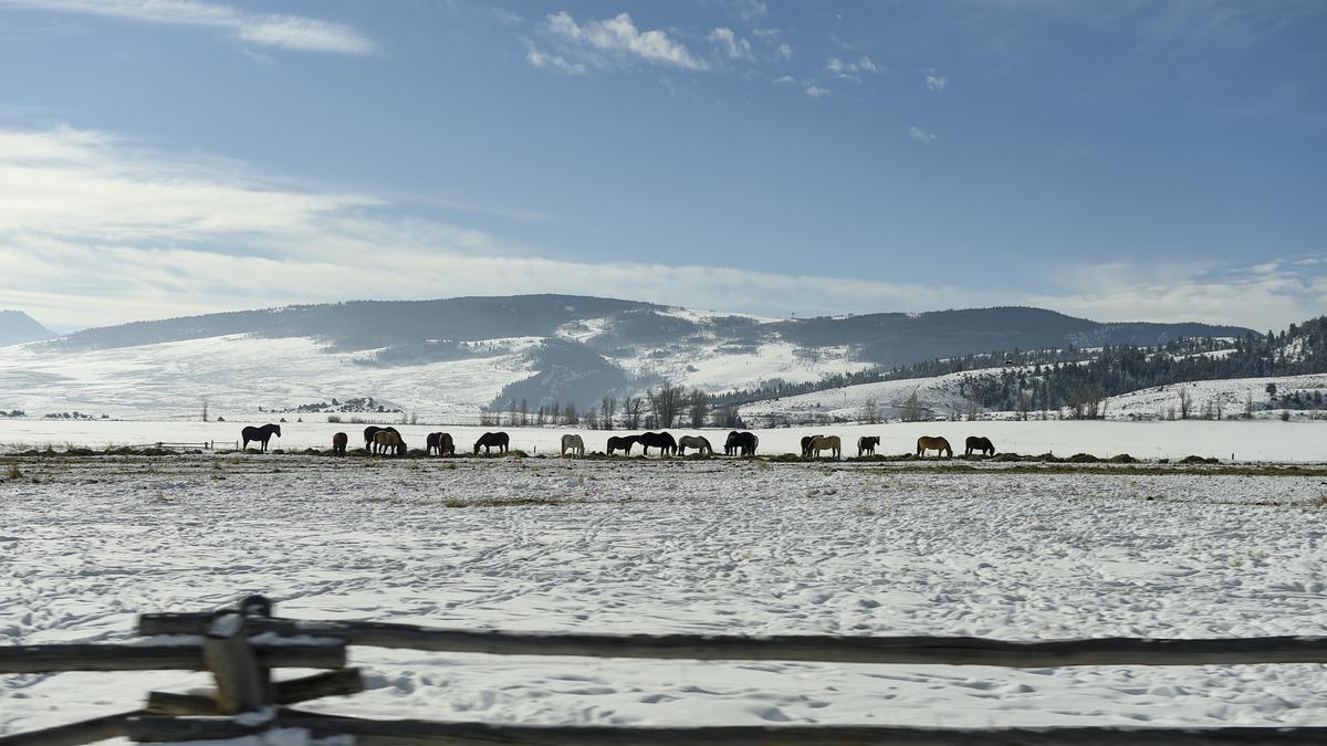 Colorado billionaire named country's largest landowner Denver