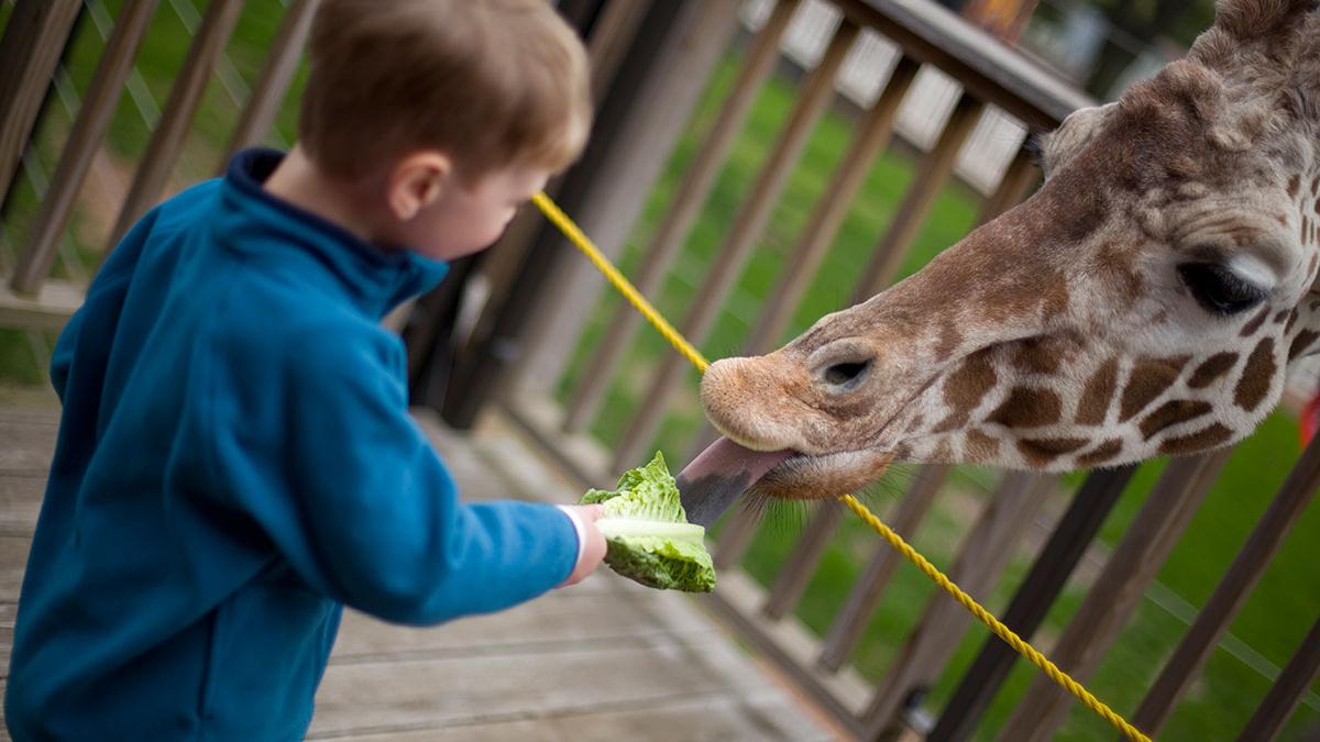 Milwaukee County Zoo to add new beer garden, spend 3M on concessions