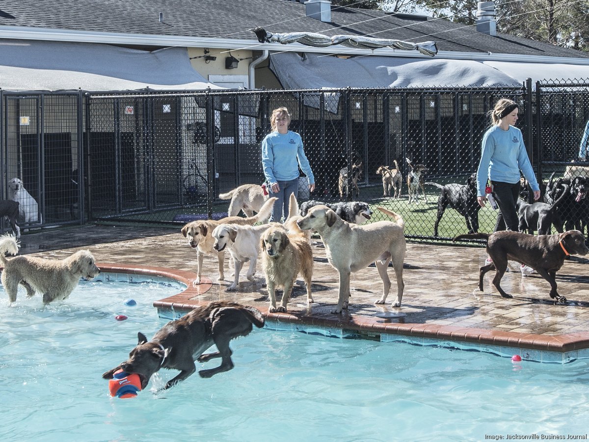 Jaguars, Pet Paradise announce new details on NFL's first in-stadium dog  park