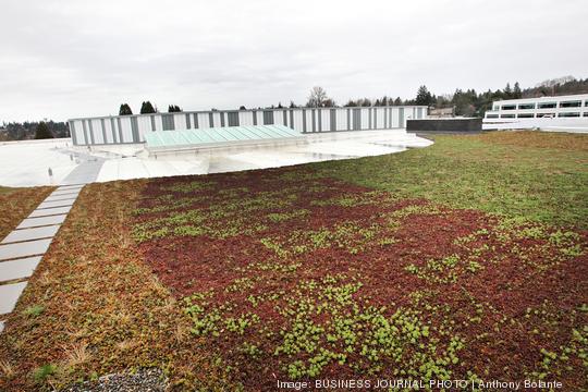 A closer look inside Google's Kirkland campus expansion