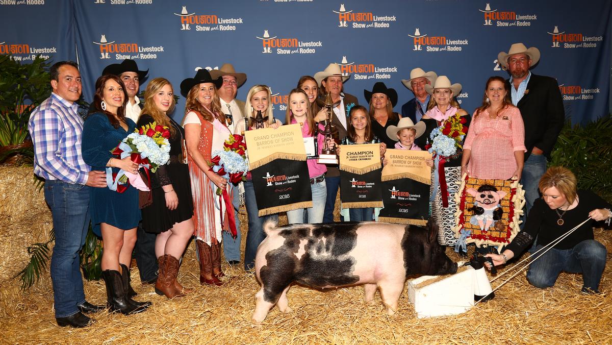 Houston Livestock Show and Rodeo junior market auction breaks world ...