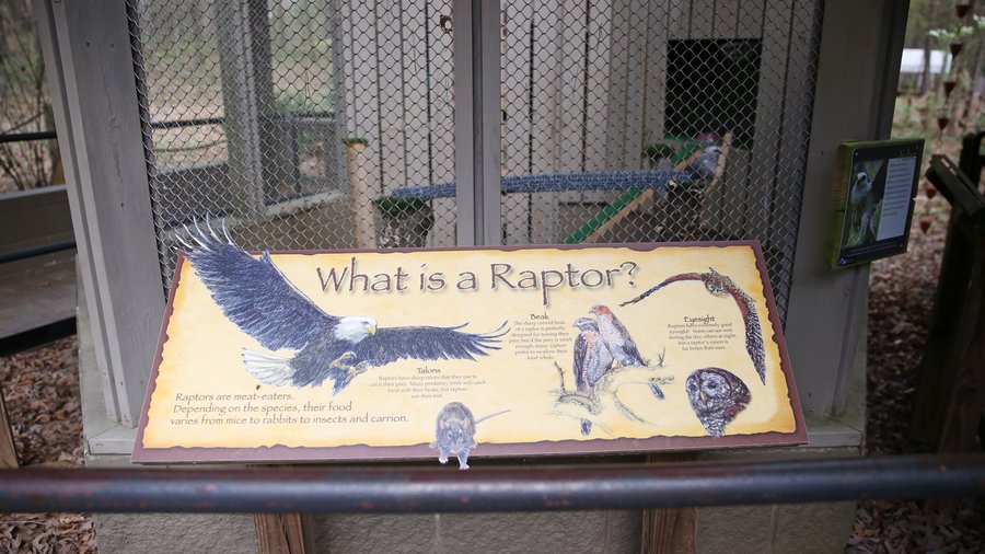 raptor center mk022