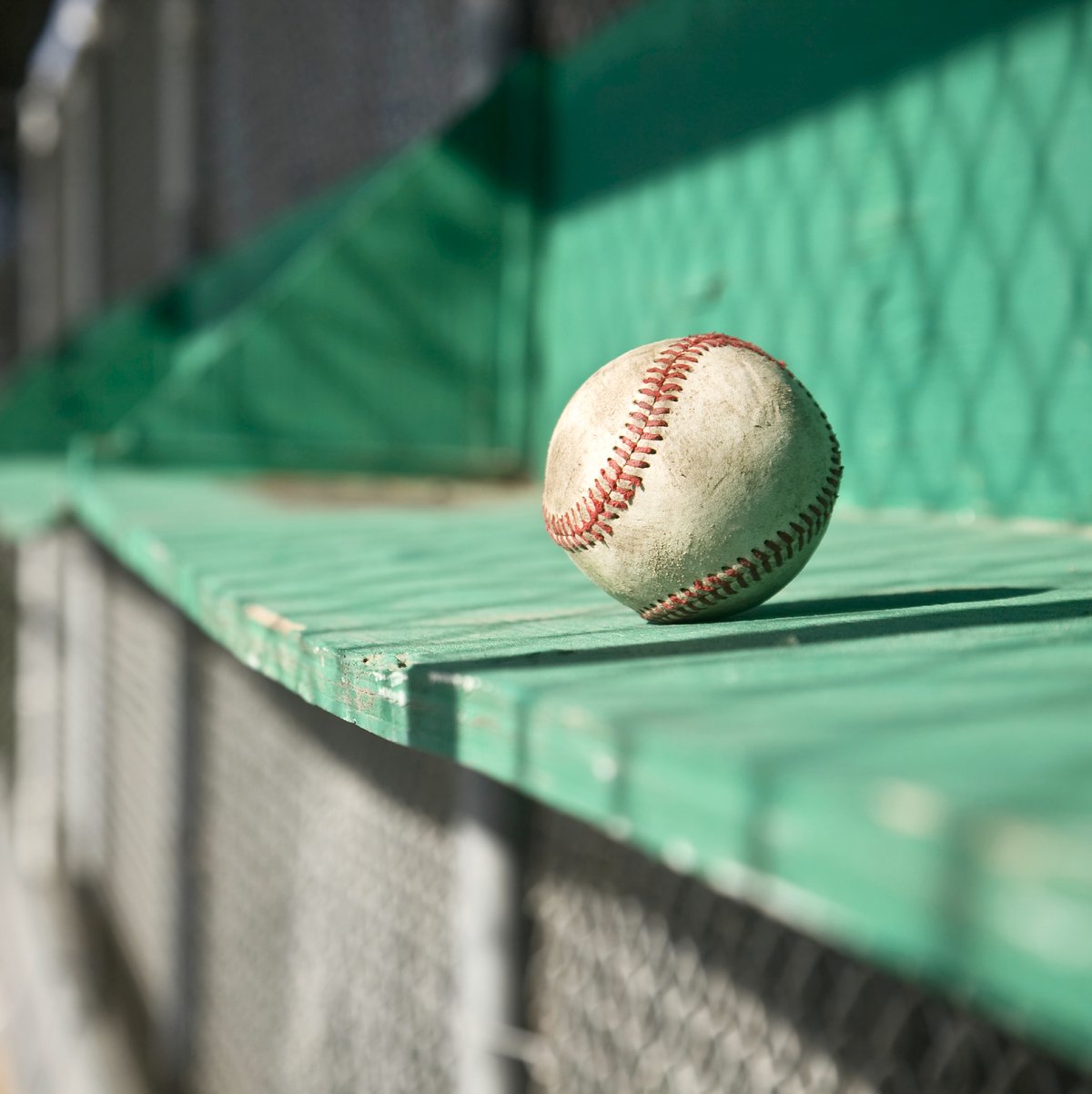 Tampa Bay Rays Announce Plans for a $1.3B Ballpark in St. Petersburg