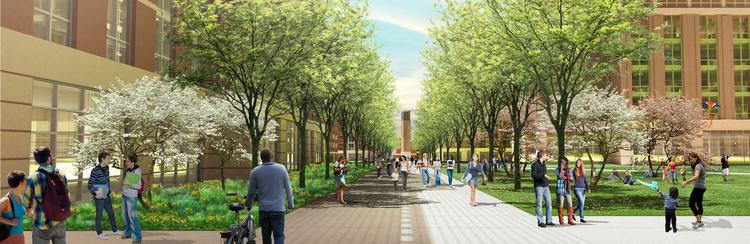 North memphis district the bay area essay image