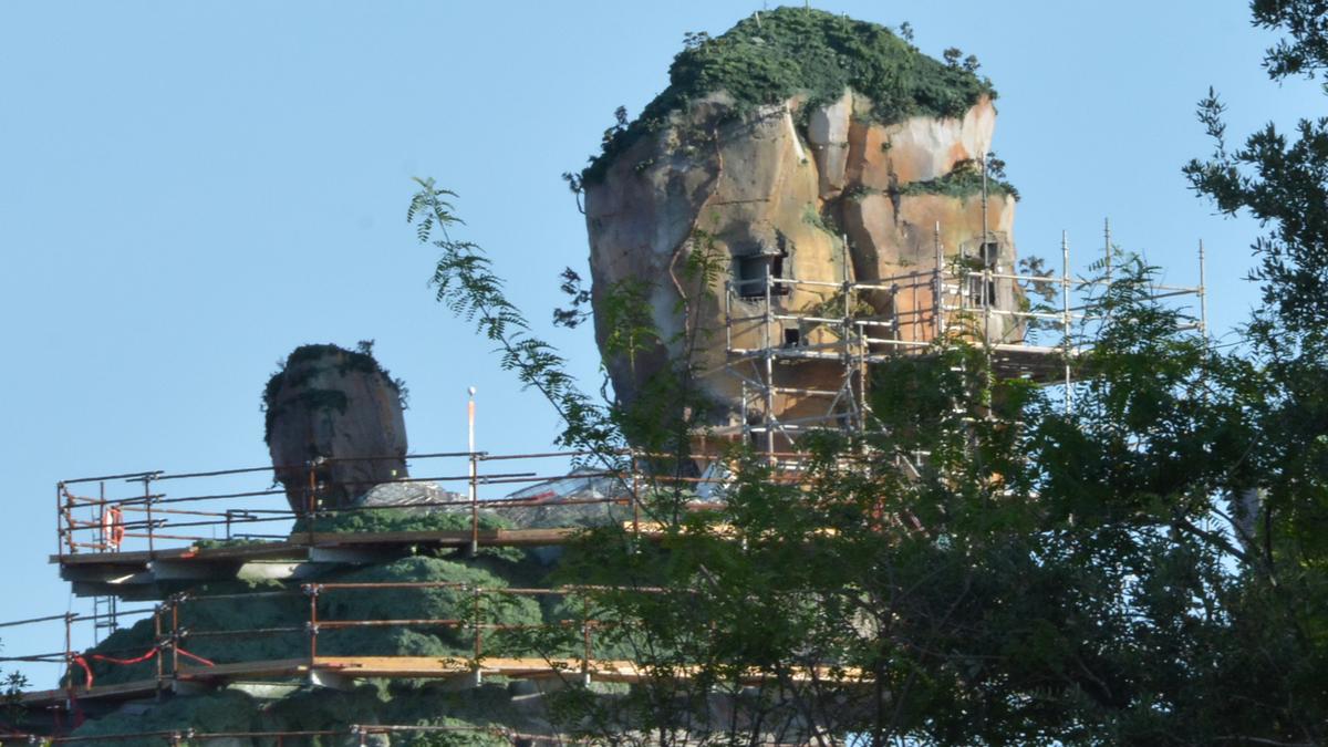 Disney's Avatar expansion slowly coming to life at Animal Kingdom ...