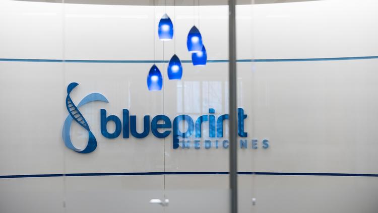 Blueprint Medicines Readies For 4 Drug Applications In 18 Months With ...