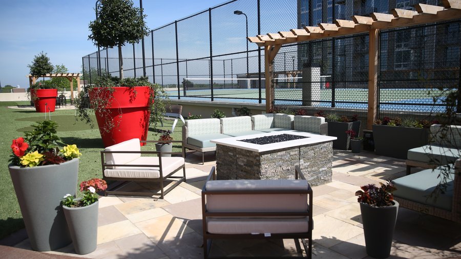 Charlotte tree ordinance update could impact development, canopy