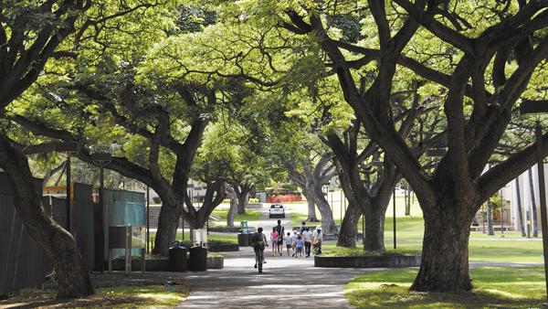 Nursing Schools In San Antonio >> University of Hawaii online nursing program rises 10 places on U.S. News & World Report ranking ... Nursing Schools In San Antonio >> University of Hawaii online nursing program rises 10 places on U.S. News & World Report ranking ...
