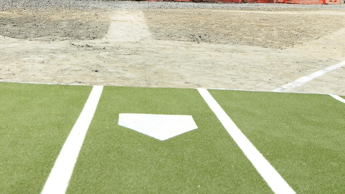 Atlanta Braves to Replace Truist Park Grass